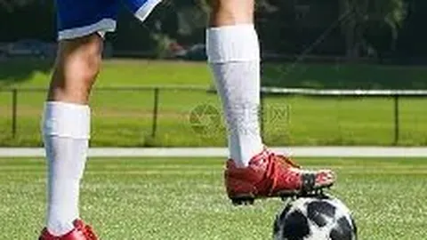 乐竞体育 产品 134016 gpu