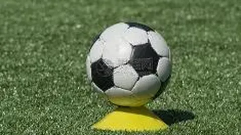 2025年‘天才发现计划’短片展盛大启幕